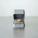 Elegante Leder-Ringbox in Grau
